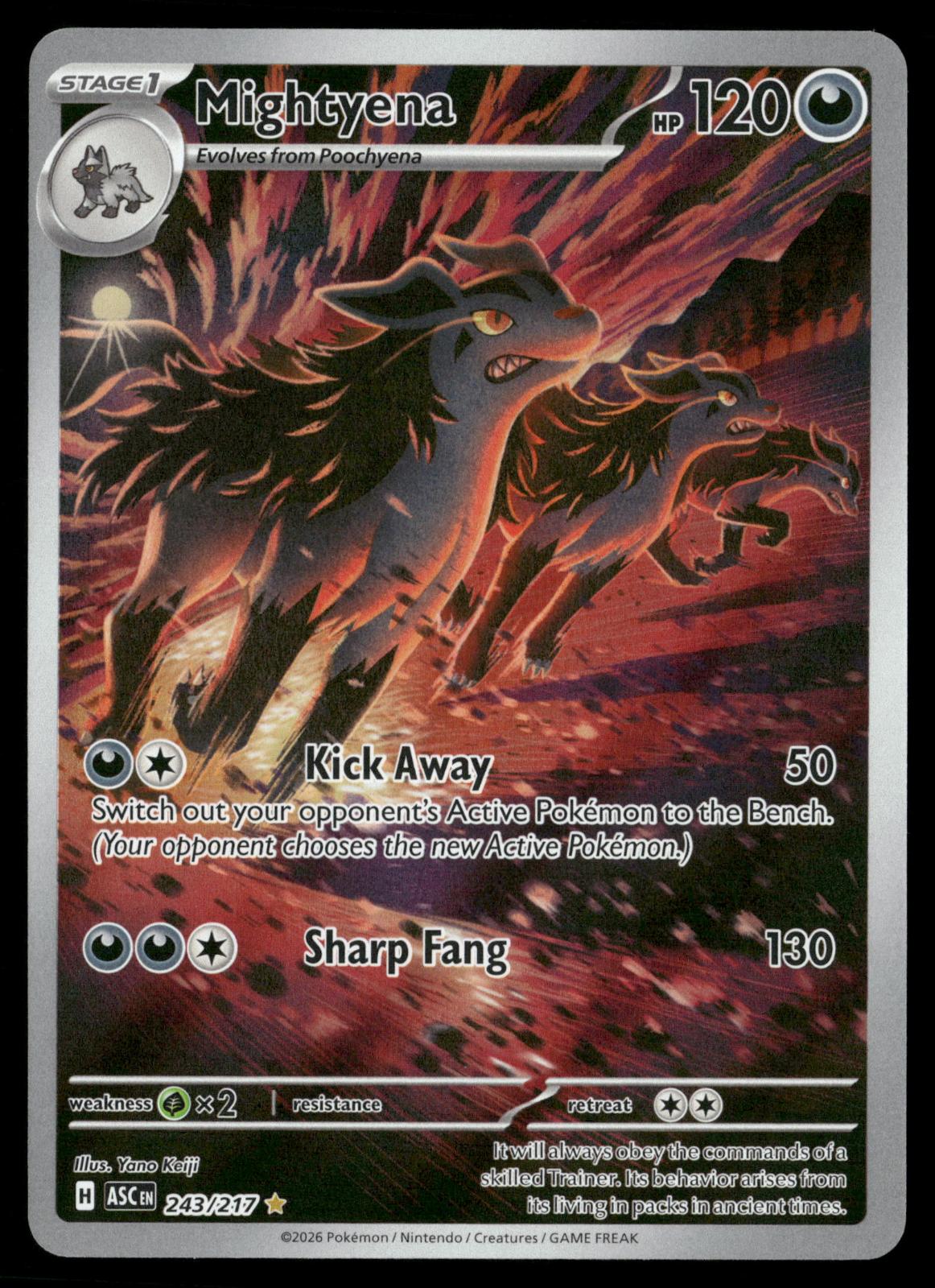 Mightyena 243/217 Illustration Rare Ascended Heroes Pokemon Holo Near Mint