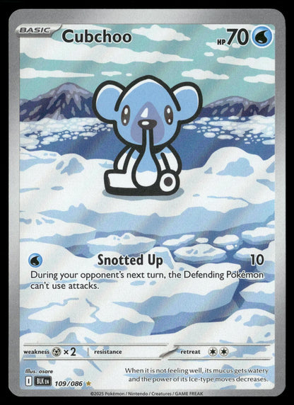 Cubchoo 109/086 Holo Illustration Rare Black Bolt Pokemon Near Mint