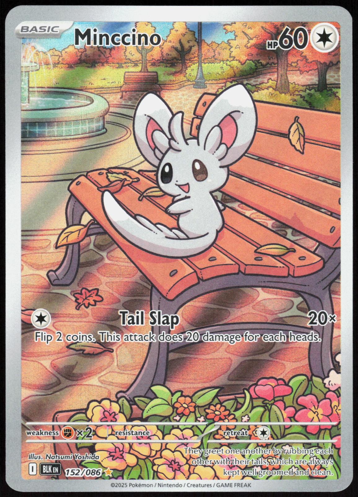 Minccino 152/086 Holo Illustration Rare Black Bolt Pokemon Near Mint