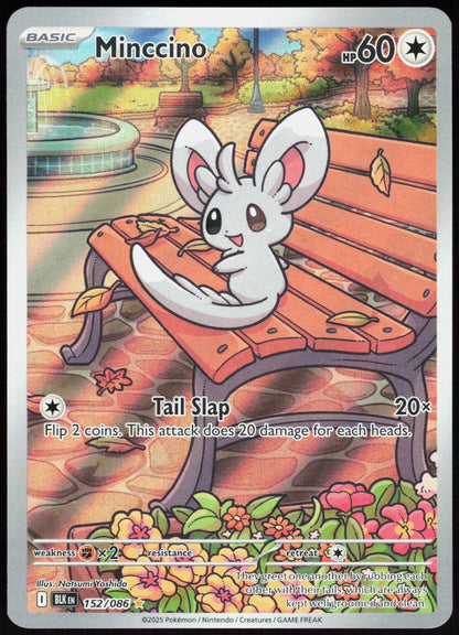 Minccino 152/086 Holo Illustration Rare Black Bolt Pokemon Near Mint