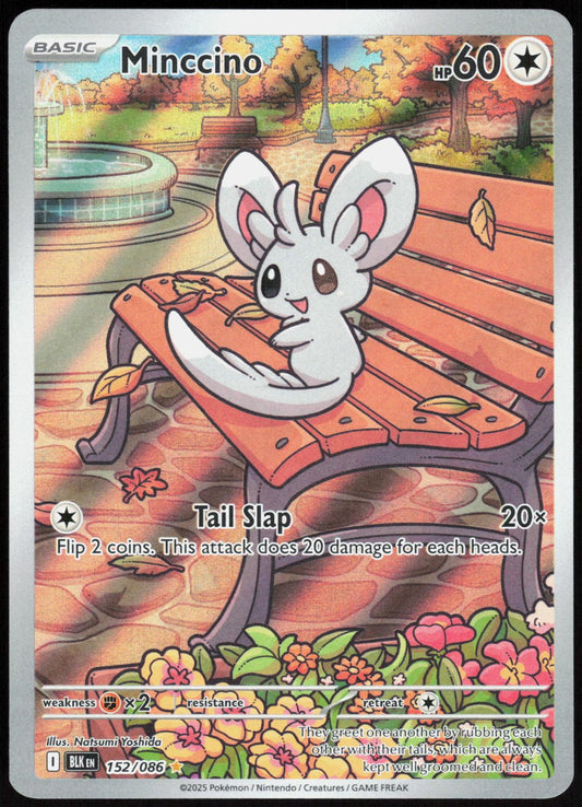 Minccino 152/086 Holo Illustration Rare Black Bolt Pokemon Near Mint