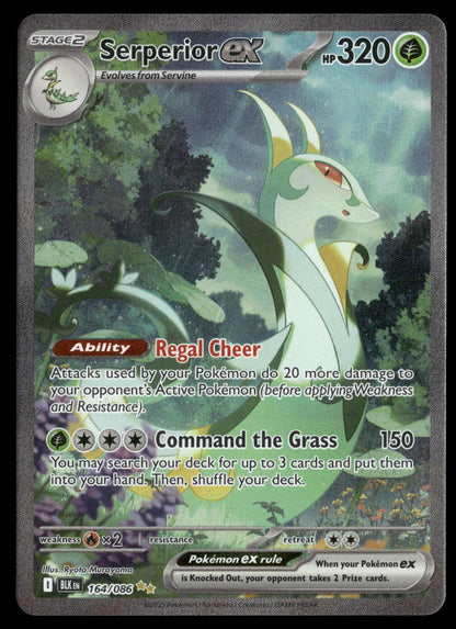 Serperior ex 164/086 Holo Special Illustration Rare Black Bolt Pokemon Near Mint