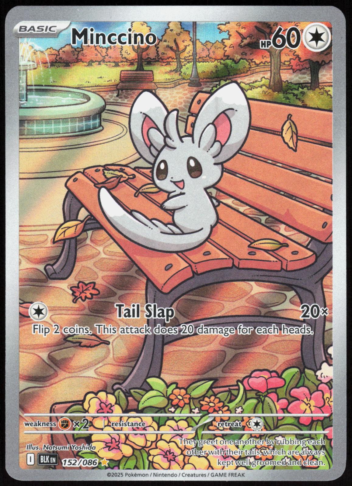Minccino 152/086 Holo Illustration Rare Black Bolt Pokemon Near Mint